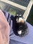 Cute Baby Guinea Pigs Carousel 5