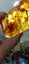 $1 Reserve Polished Kauri gum with plant matter Carousel 1