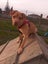 Danica (Ellie's Canine Rescue & Rehome) Carousel 1