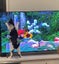 Brave Paws Cat Rescue - Kitten - 10 months SKye Carousel 2
