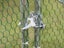 Metal Outdoor Chicken Coop 3x8M Carousel 4