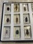 National Geographic 15 resin mounted real life bugs & insects + extras Carousel 2