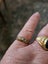 $1 Edwardian 9ct Old cut Diamond & Seed Pearl Ring 1.44gm Carousel 12