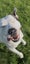 Stanley (Hauraki Pound Pups) Carousel 4