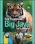 Big Java by Cay S. Horstmann - Loose Leaf Carousel 1