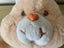 Vintage Care Bear - 1980s Daydream Bear - Rare Carousel 7