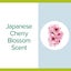 Palmolive Instant Antibacterial Hand Sanitiser Japanese Cherry Blossom Pump 2... Carousel 3