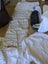Tweeny Weeny Folding Co Sleeper cot bassinet Zummi By My Side Bedside Sleeper Carousel 5