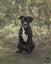 Baloo - Chance 4 Change Carousel 2