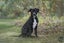 Baloo - Chance 4 Change Carousel 3
