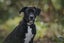 Baloo - Chance 4 Change Carousel 1