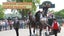 R.S.P.C.A. Horse Brass MERIT BADGE London Van Horse Parade 1928 Genuine ANTIQUE Carousel 4