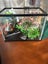 Fish Tank and Accessories Carousel 1