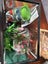 Fish Tank and Accessories Carousel 2