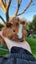 Baby Abyssinian Guinea Pigs Carousel 9
