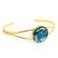 BBJ1105BG Paua Bangle Gold Plated Round Boxed Carousel 1