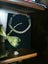 Beautiful Diamond & Peridot Necklace Carousel 3