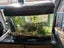 Complete Aquarium Carousel 2