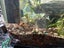 Complete Aquarium Carousel 6