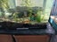 Complete Aquarium Carousel 7