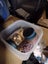 Self Storage Contents - Household Lot Carousel 3