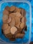 Box Full of Old English Coins Carousel 2