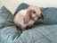 Beautiful baby mini lops Carousel 9