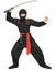 Super Muscle Ninja Boys and Teens Costume Carousel 2
