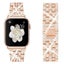 Apple Watch Strap Band 38mm 40mm Carousel 7
