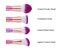 Makeup Brushes Set 11pcs Makeup Brush Cosmetic Brushes Eyeshadow Eyeliner Blu Carousel 5