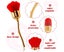 2 Pieces Rose Flower Makeup Brush Flower Blush Brush Extra Large Face Powder Carousel 3