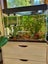 Blue Planet 70L Fish Tank Carousel 4