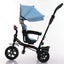 Stroller Kids Pram Toddler Trike With sunroof Carousel 2