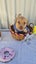 Habanero-Pukekohe Adoption Centre Carousel 4