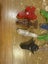 Skylander crystals Carousel 1