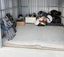 Loading Image 1 of 3