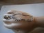 ANTQ/VTG.STG SILVER CHAIN BRACELET & CAROUSEL CHARM Carousel 2
