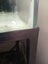 4 foot aquarium and filter Carousel 4