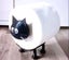 THE CATTAGE- Cute, Fun 3D Cat Single Toilet Roll Holder More As Bathroom Feature Carousel 5