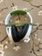 Turtle Beach Headset Carousel 1