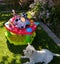 Evenflo Exersaucer *$1 reserve ($189 RRP)* Carousel 2