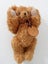 ROBIN RIVE - COLLECTABLE BEAR - SWEETPEA - NZ MADE Carousel 5