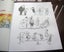 SIX OF THE BEST BY MURRAY BALL Carousel 5