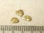 $1 RESERVE - THREE GOLD NUGGETS with Pyrex Vial Carousel 1