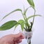 Clip-On Planter Carousel 3