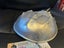 Real horseshoe crab, sprayed silver Carousel 4