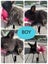 Pure Breed Mini Lop Bunnys Carousel 4