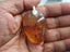 15.35g New Zealand Kauri Gum Pendant Carousel 3