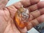 15.35g New Zealand Kauri Gum Pendant Carousel 4