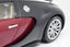 Autoart 1/18 Bugatti EB 16.4 Veyron Carousel 10